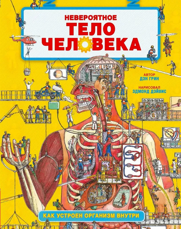 Невероятное тело человека. – MyBiblioteka.com – Детские книги на русском в  США – Библиотека и магазин